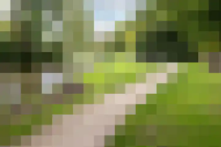 Robiniastate 11 Purmerend thumbnail 44