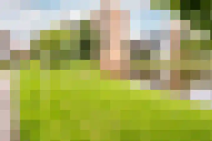 Robiniastate 11 Purmerend thumbnail 45