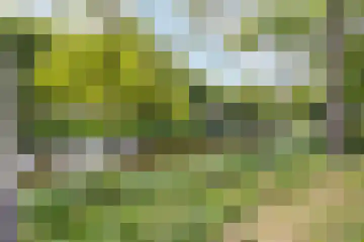 Robiniastate 11 Purmerend thumbnail 46