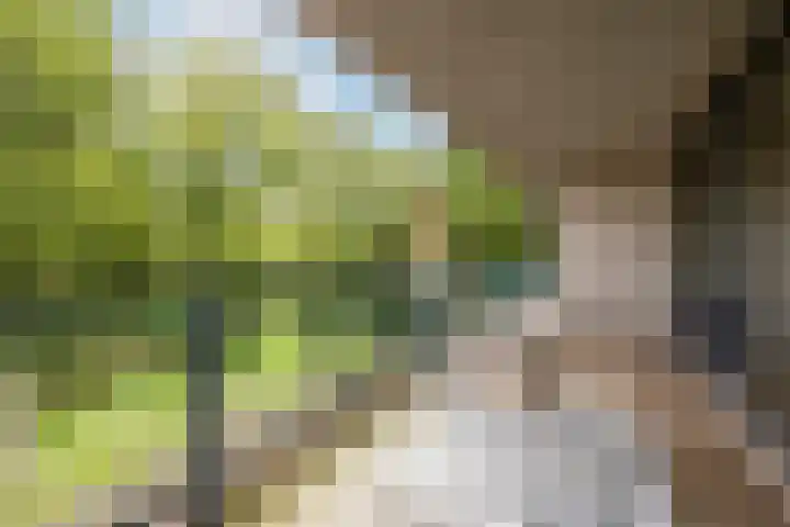 Robiniastate 11 Purmerend thumbnail 5