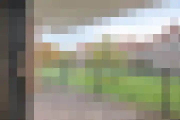 Robiniastate 5 Purmerend thumbnail 31