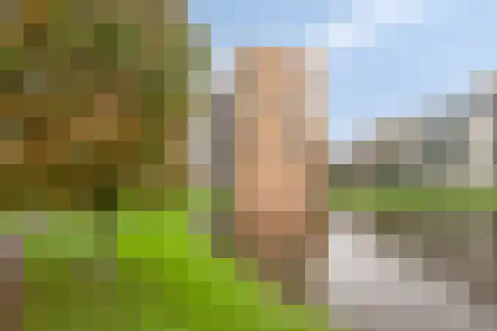Robiniastate 5 Purmerend thumbnail 35