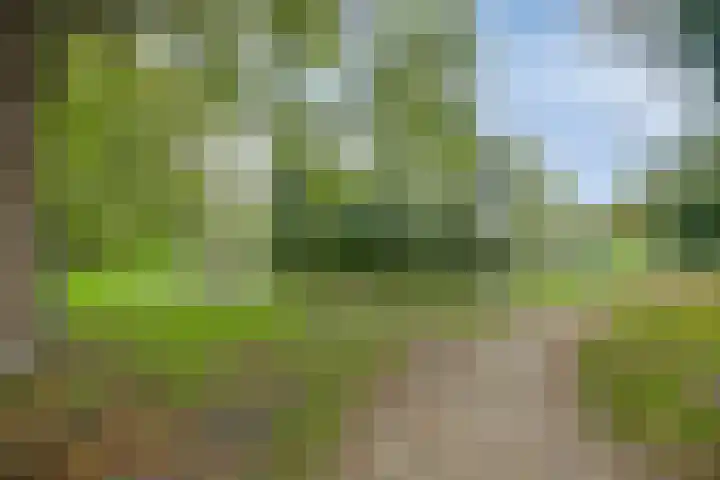 Robiniastate 5 Purmerend thumbnail 40