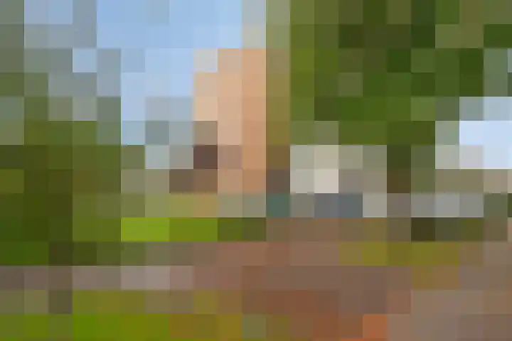 Robiniastate 5 Purmerend thumbnail 6
