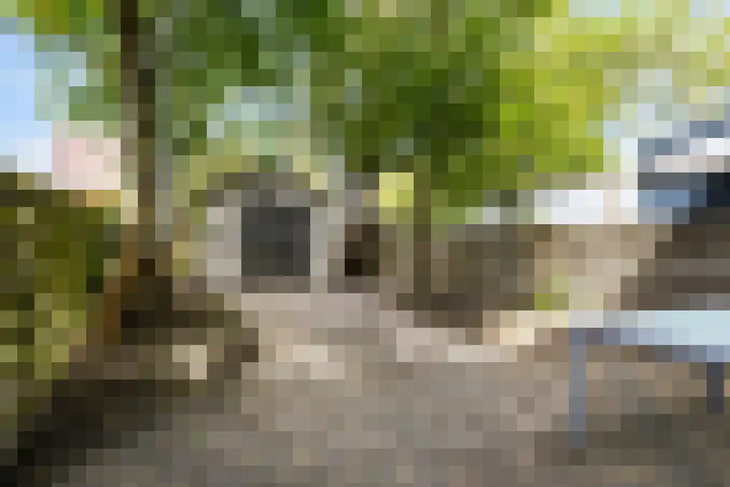 Robinsonstraat 101 Leeuwarden thumbnail 21