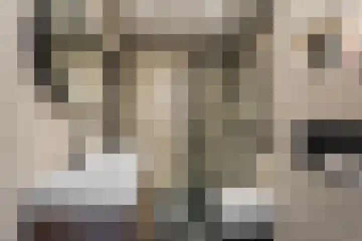 Rocamadour 108 Purmerend thumbnail 5