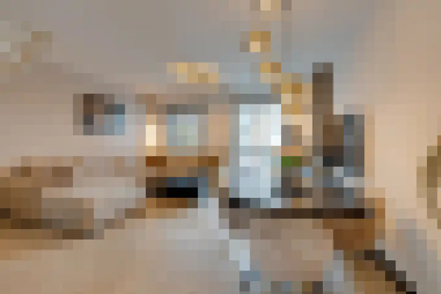 Rocamadour 20 Purmerend thumbnail 13