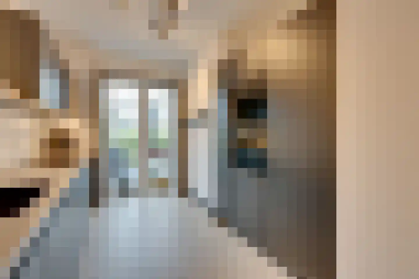 Rocamadour 20 Purmerend thumbnail 18