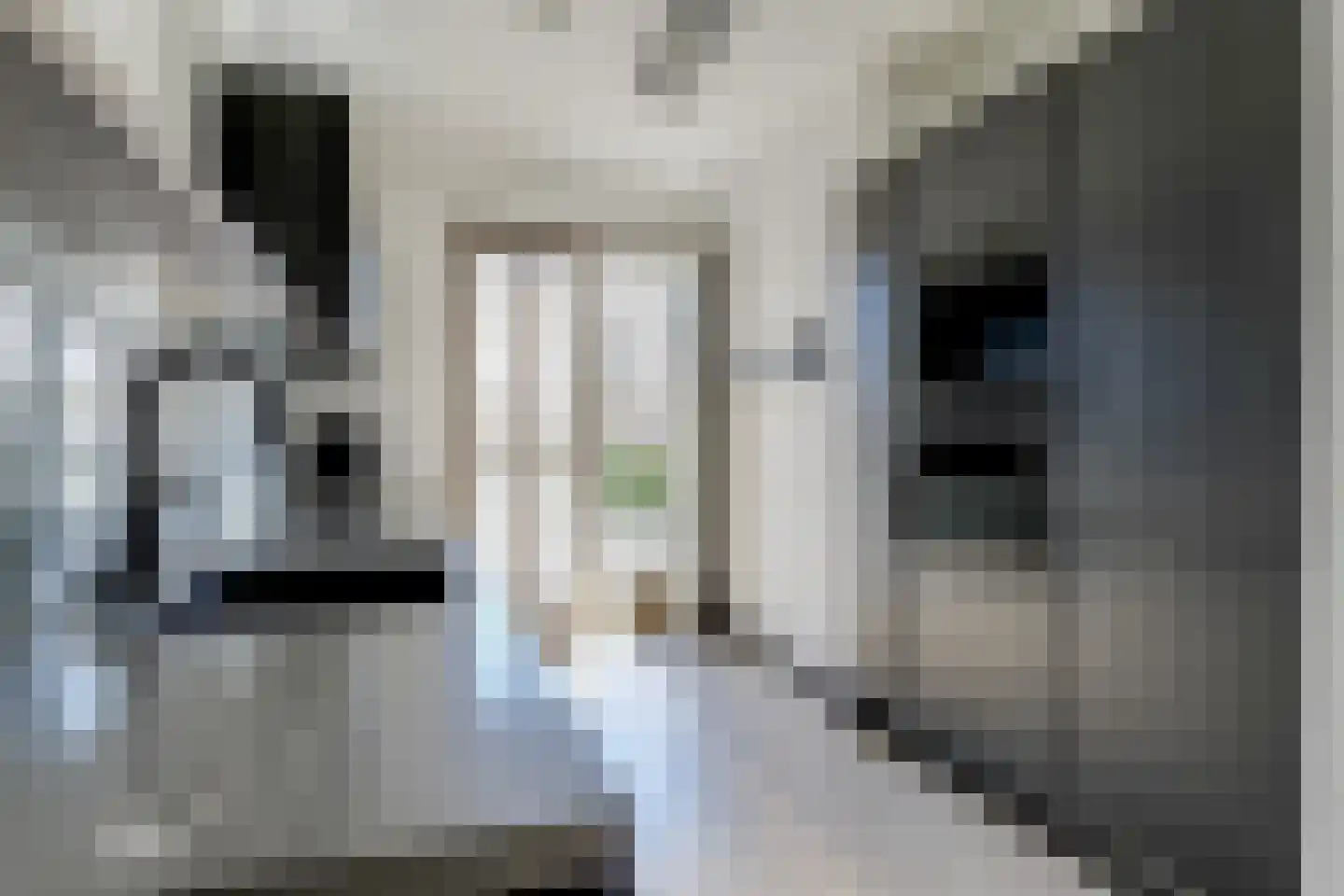 Rocamadour 20 Purmerend thumbnail 5