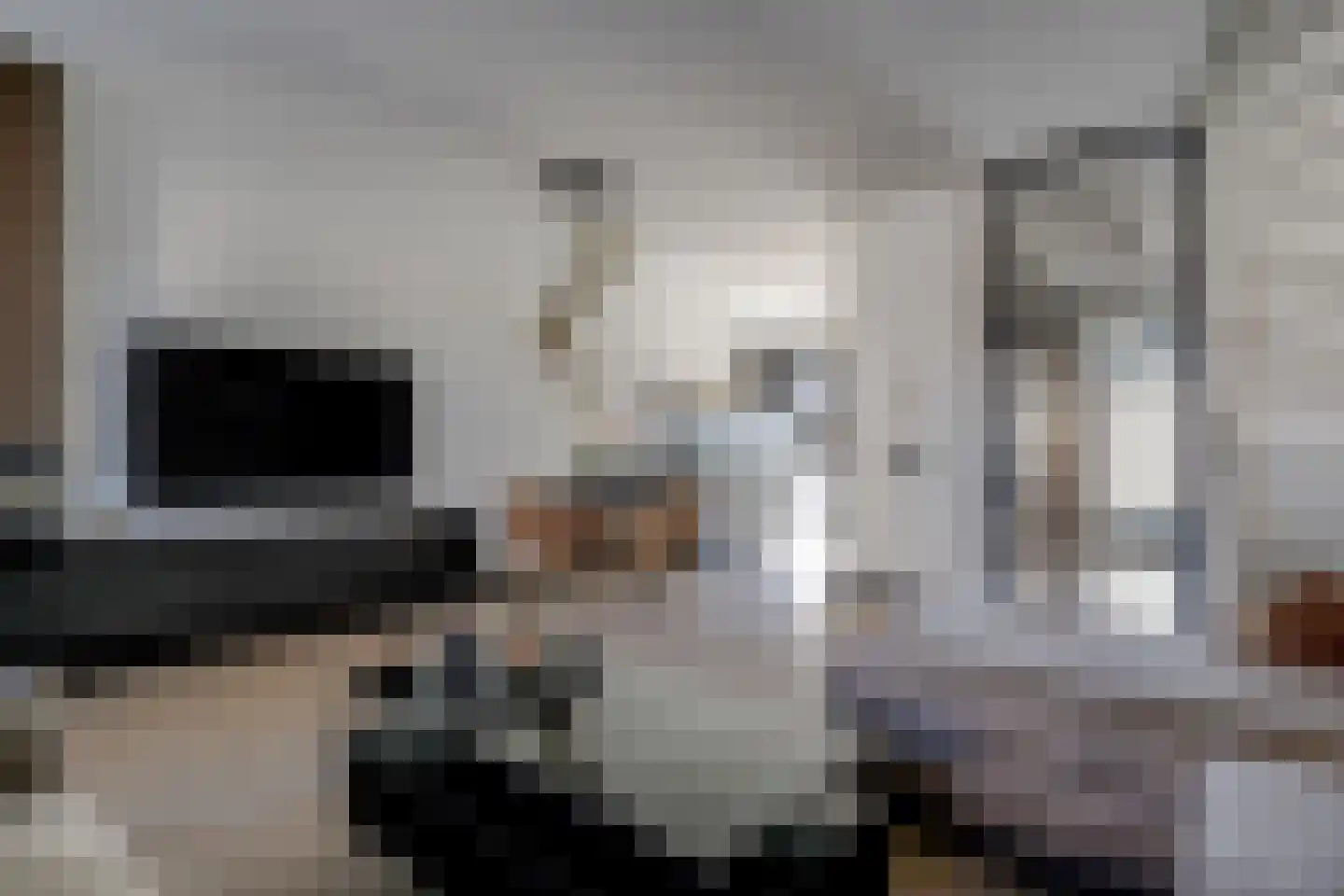 Rocamadour 20 Purmerend thumbnail 8