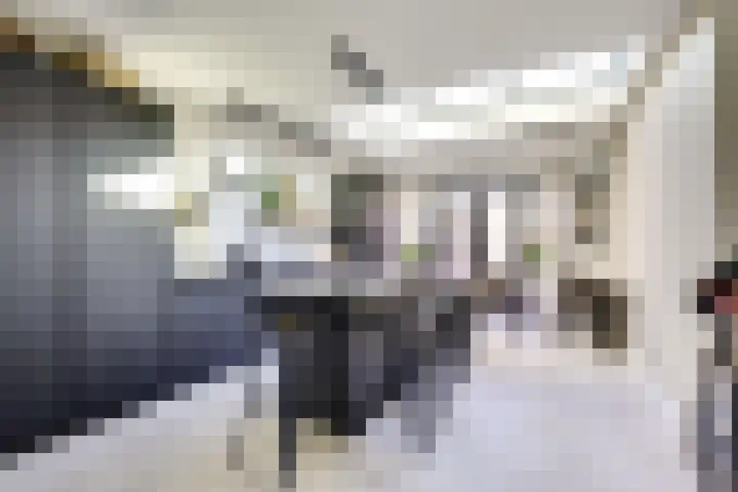 Rochus Meeuwiszstraat 11 Utrecht thumbnail 11