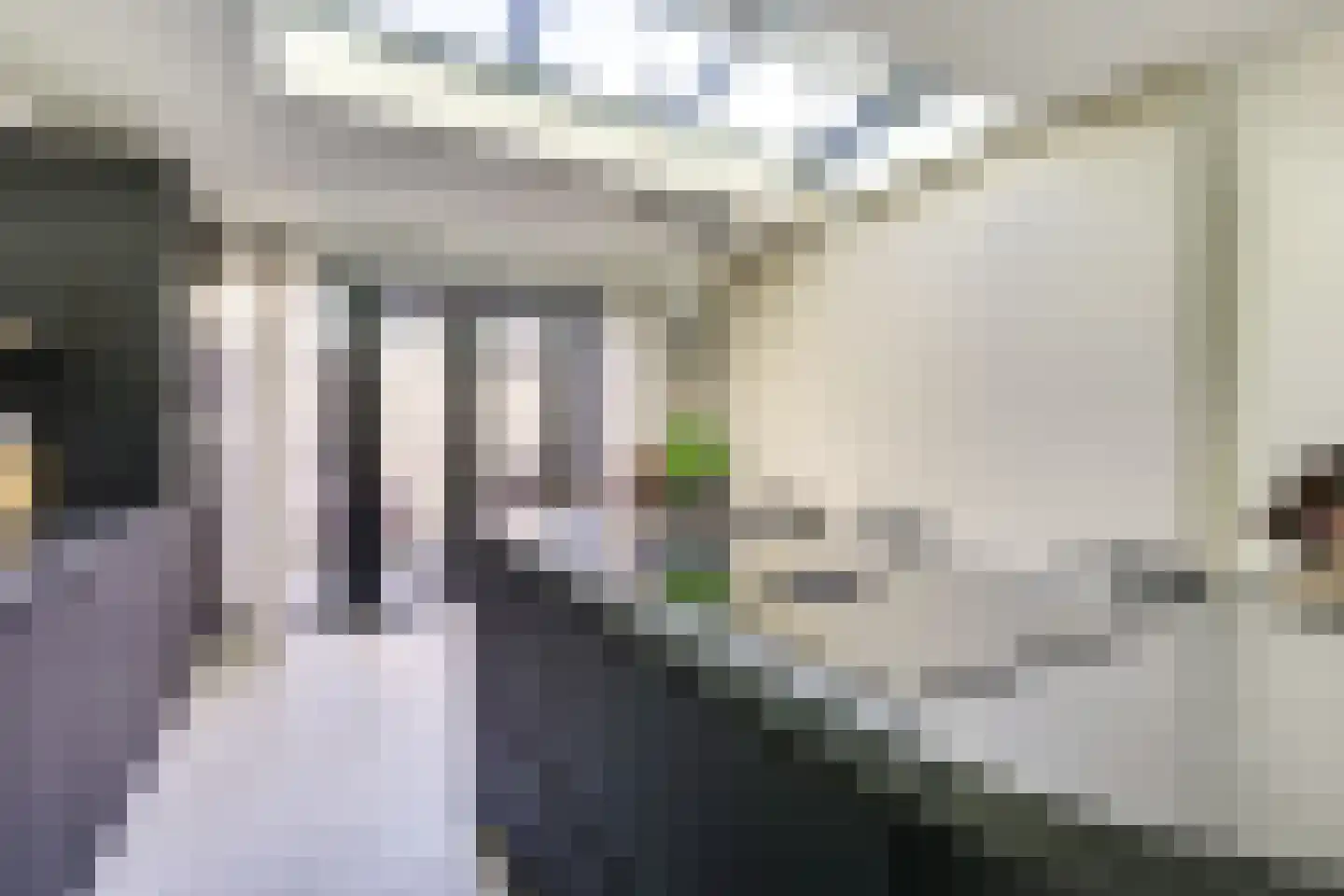 Rochus Meeuwiszstraat 11 Utrecht thumbnail 16