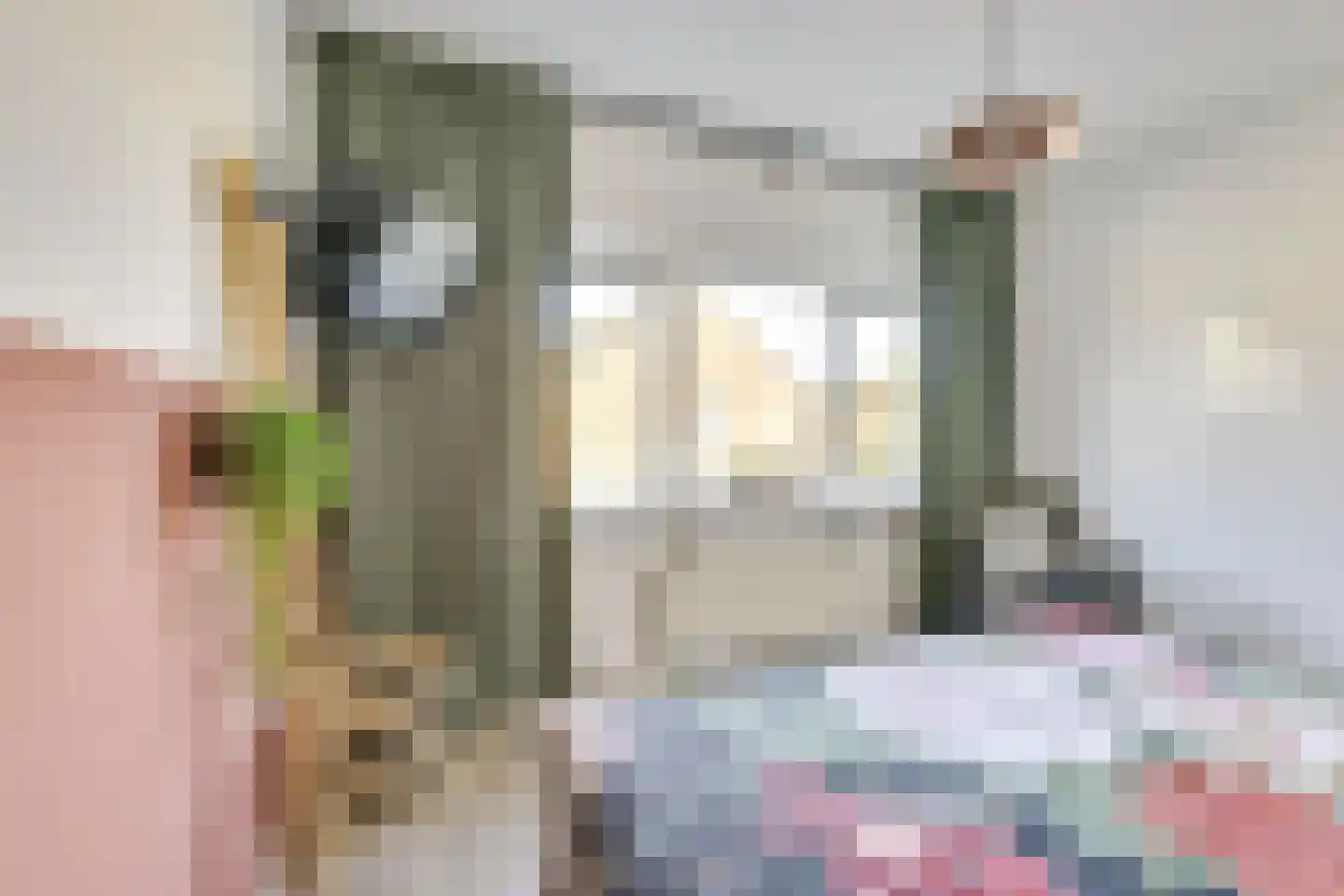 Rochus Meeuwiszstraat 11 Utrecht thumbnail 24