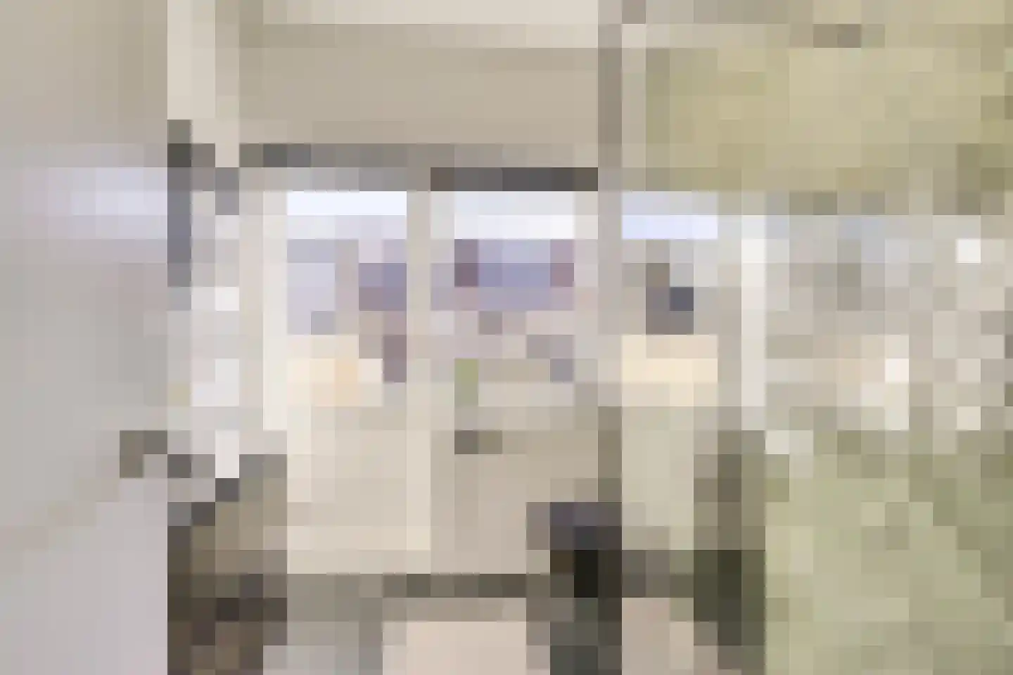Rochus Meeuwiszstraat 11 Utrecht thumbnail 25