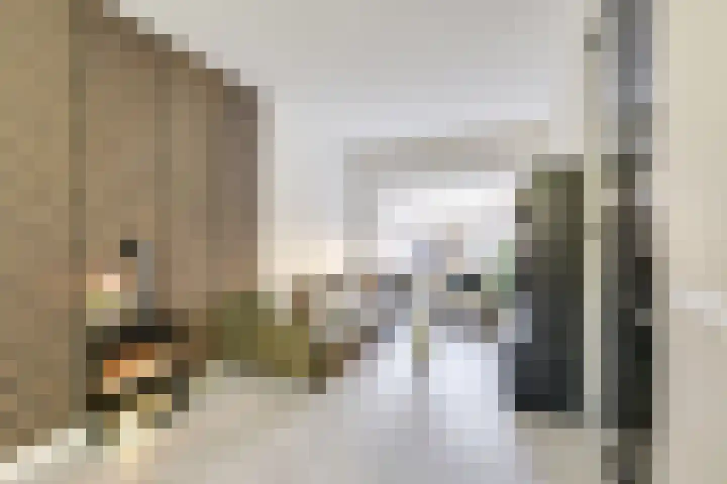 Rochus Meeuwiszstraat 11 Utrecht thumbnail 8