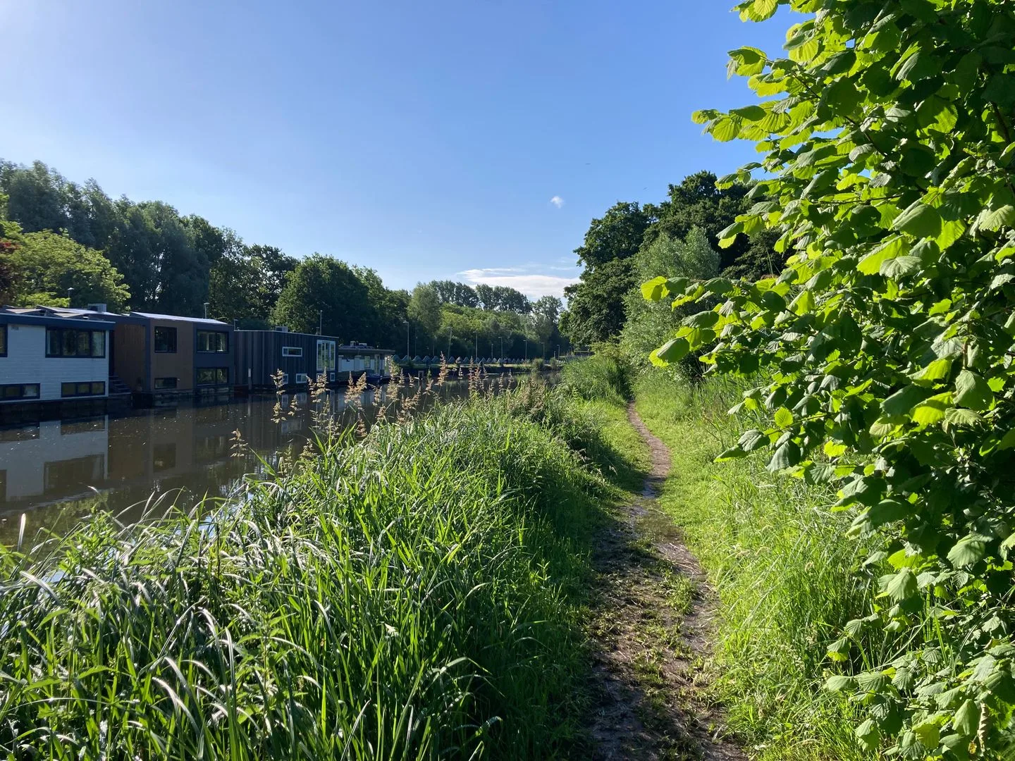 Rochus Meeuwiszstraat 17 Utrecht thumbnail 35