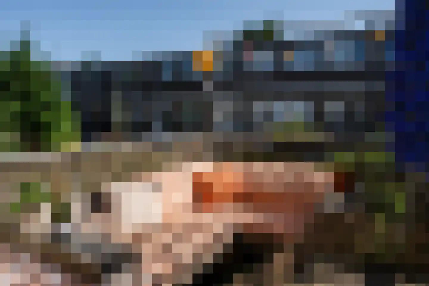 Rochus Meeuwiszstraat 29 Utrecht thumbnail 25