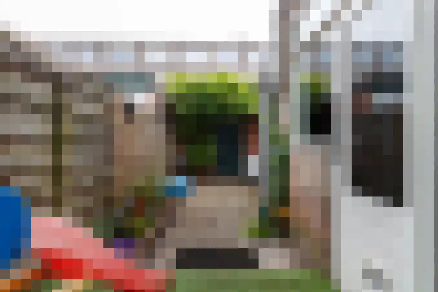 Rochus Meeuwiszstraat 29 Utrecht thumbnail 7