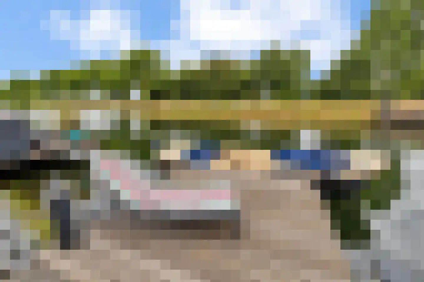 Rochus Meeuwiszweg 132 Brielle thumbnail 32