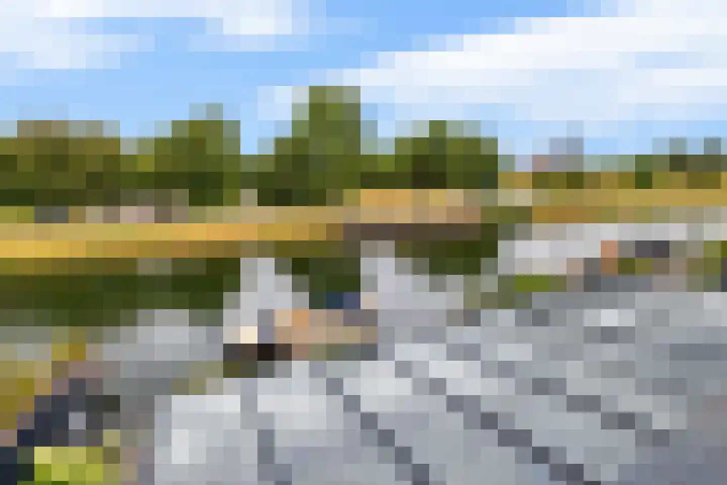Rochus Meeuwiszweg 132 Brielle thumbnail 35