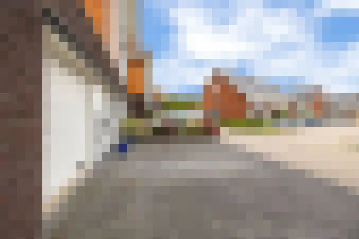 Rochus Meeuwiszweg 132 Brielle thumbnail 38