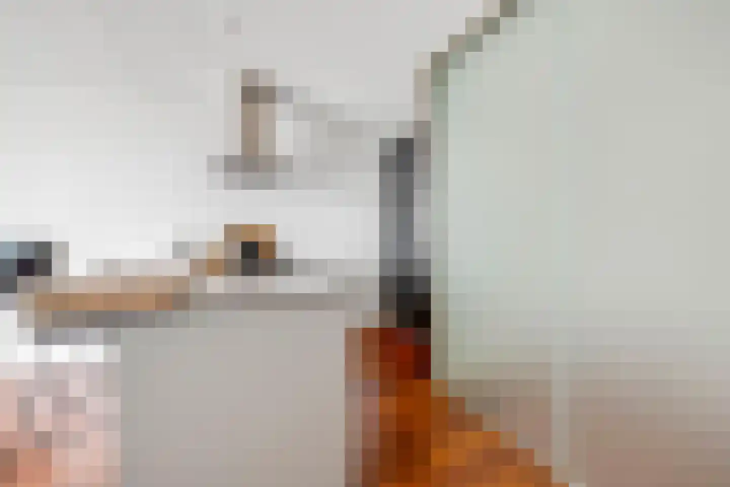 Rochus Meeuwiszweg 222 Brielle thumbnail 16