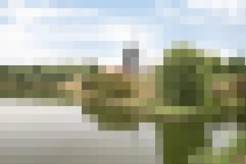 Rochus Meeuwiszweg 222 Brielle thumbnail 33