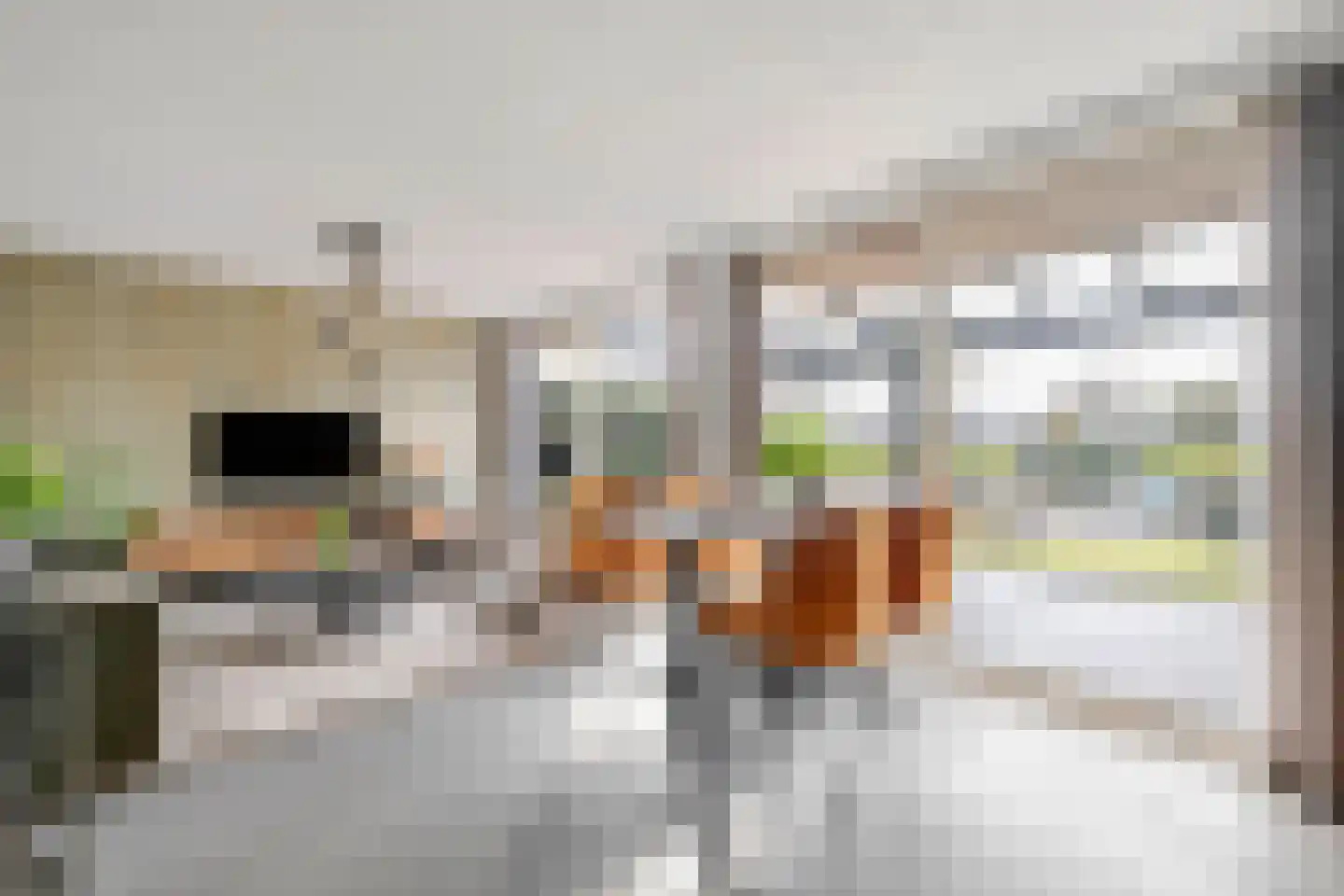 Rochus Meeuwiszweg 332 Brielle thumbnail 10