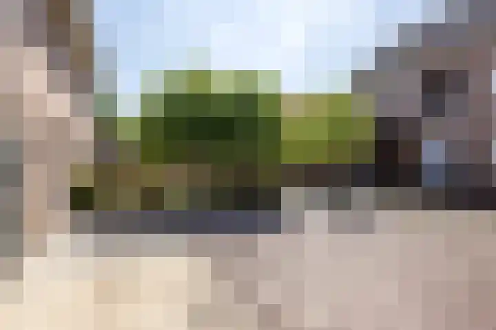 Rochus Meeuwiszweg 332 Brielle thumbnail 30
