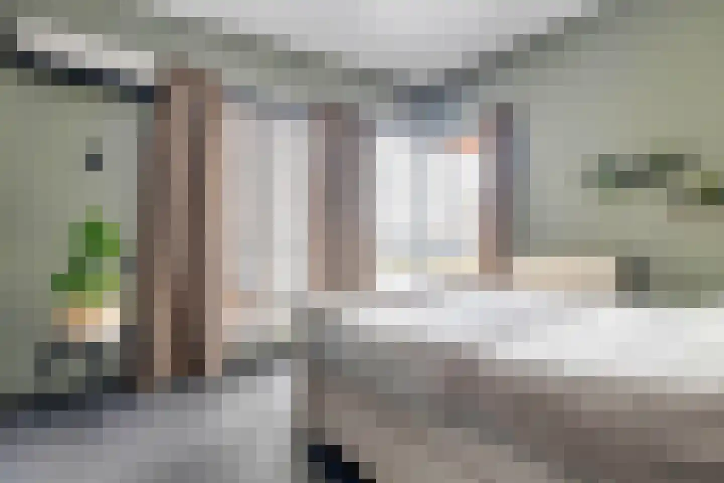 Rochus Meeuwiszweg 332 Brielle thumbnail 31