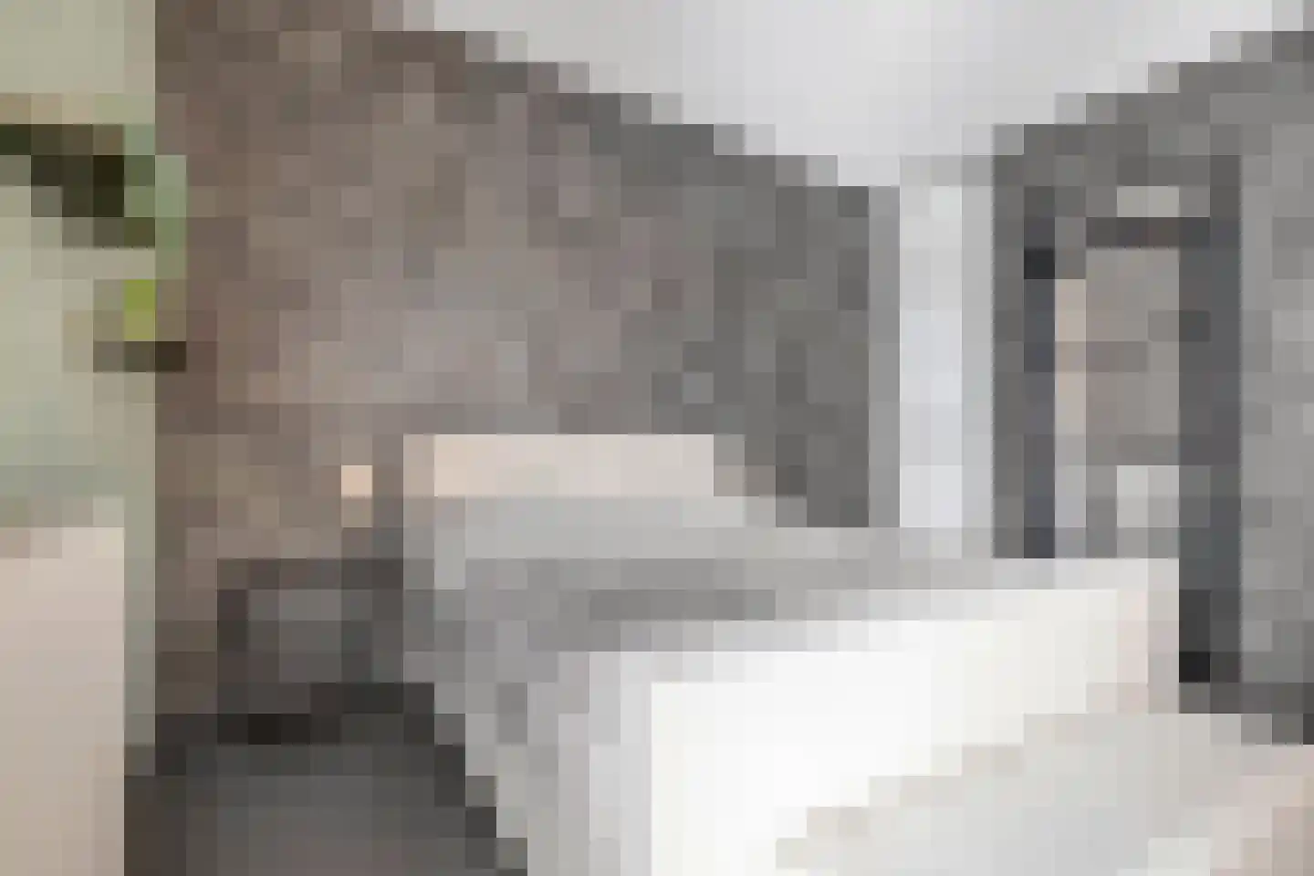 Rochus Meeuwiszweg 332 Brielle thumbnail 33