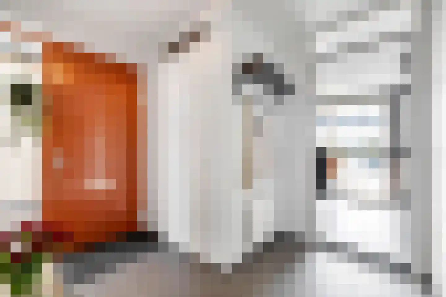 Rochus Meeuwiszweg 332 Brielle thumbnail 8