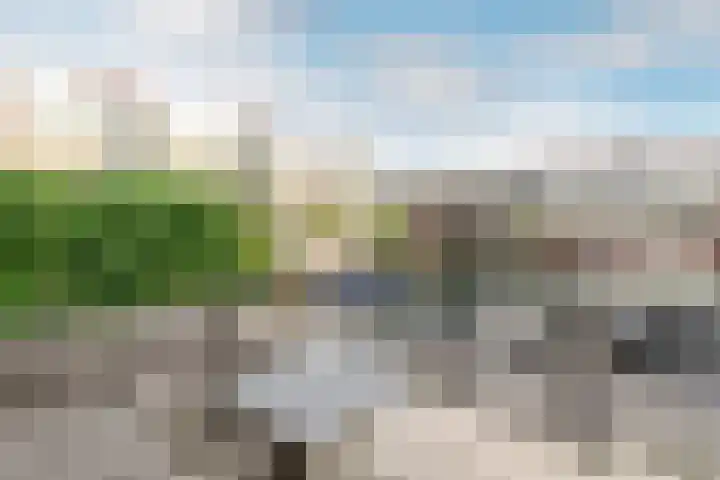 Rochus Meeuwiszweg 398 Brielle thumbnail 31
