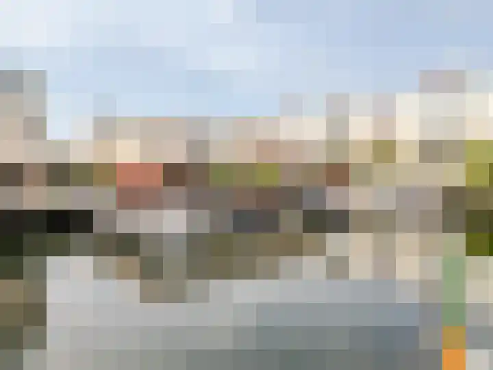 Rochus Meeuwiszweg 398 Brielle thumbnail 39