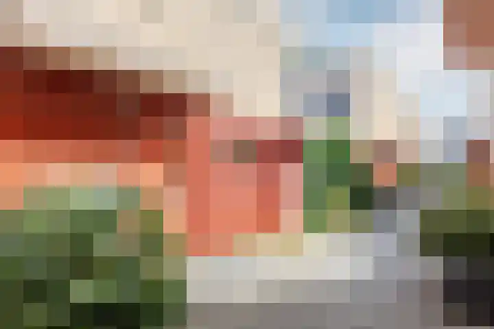 Rochus Meeuwiszweg 398 Brielle thumbnail 4
