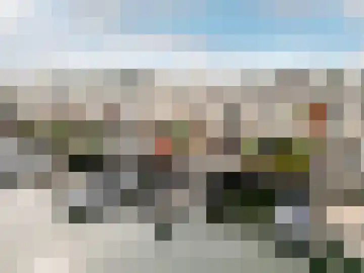 Rochus Meeuwiszweg 398 Brielle thumbnail 44