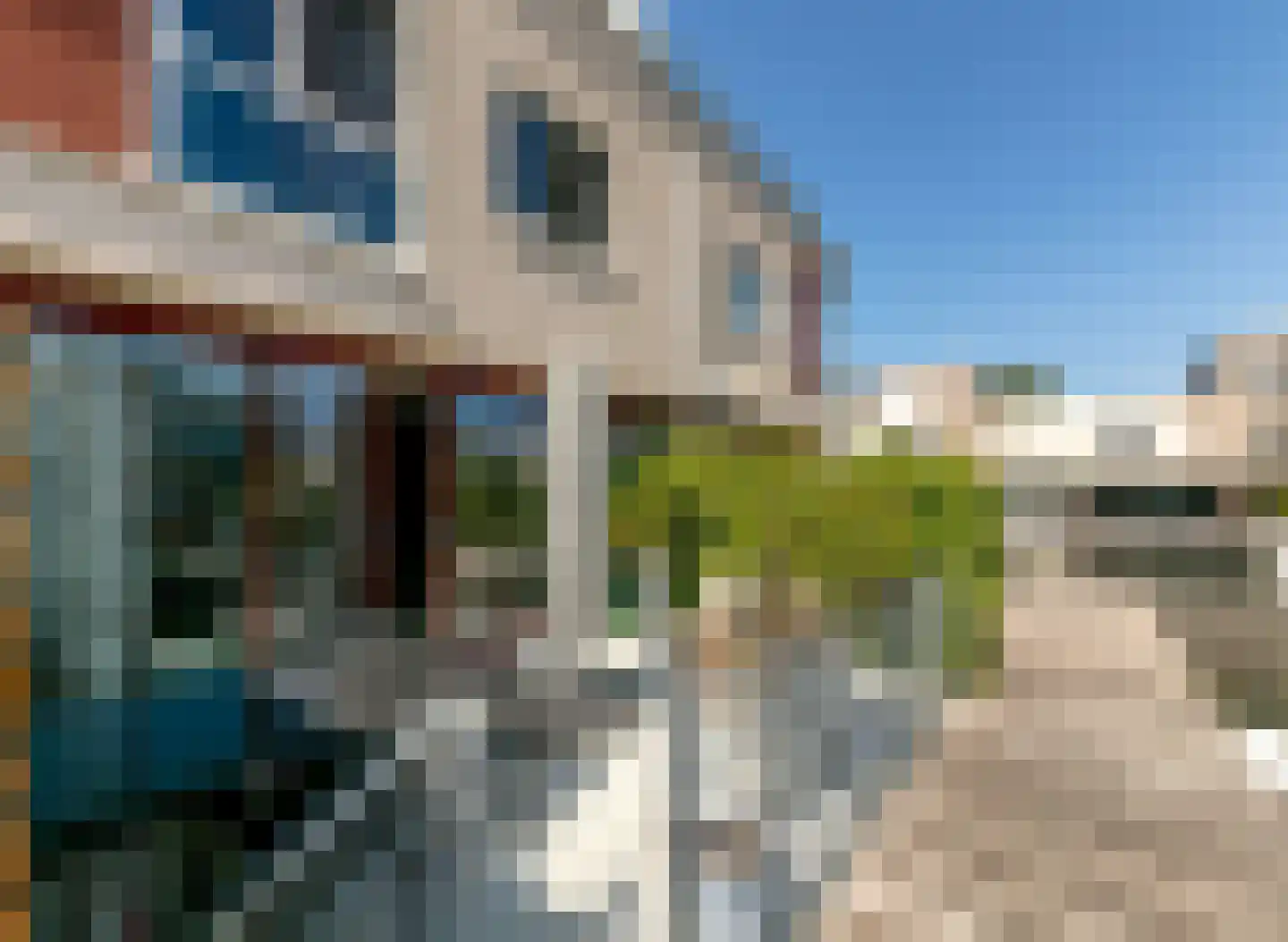 Rochus Meeuwiszweg 410 Brielle thumbnail 36