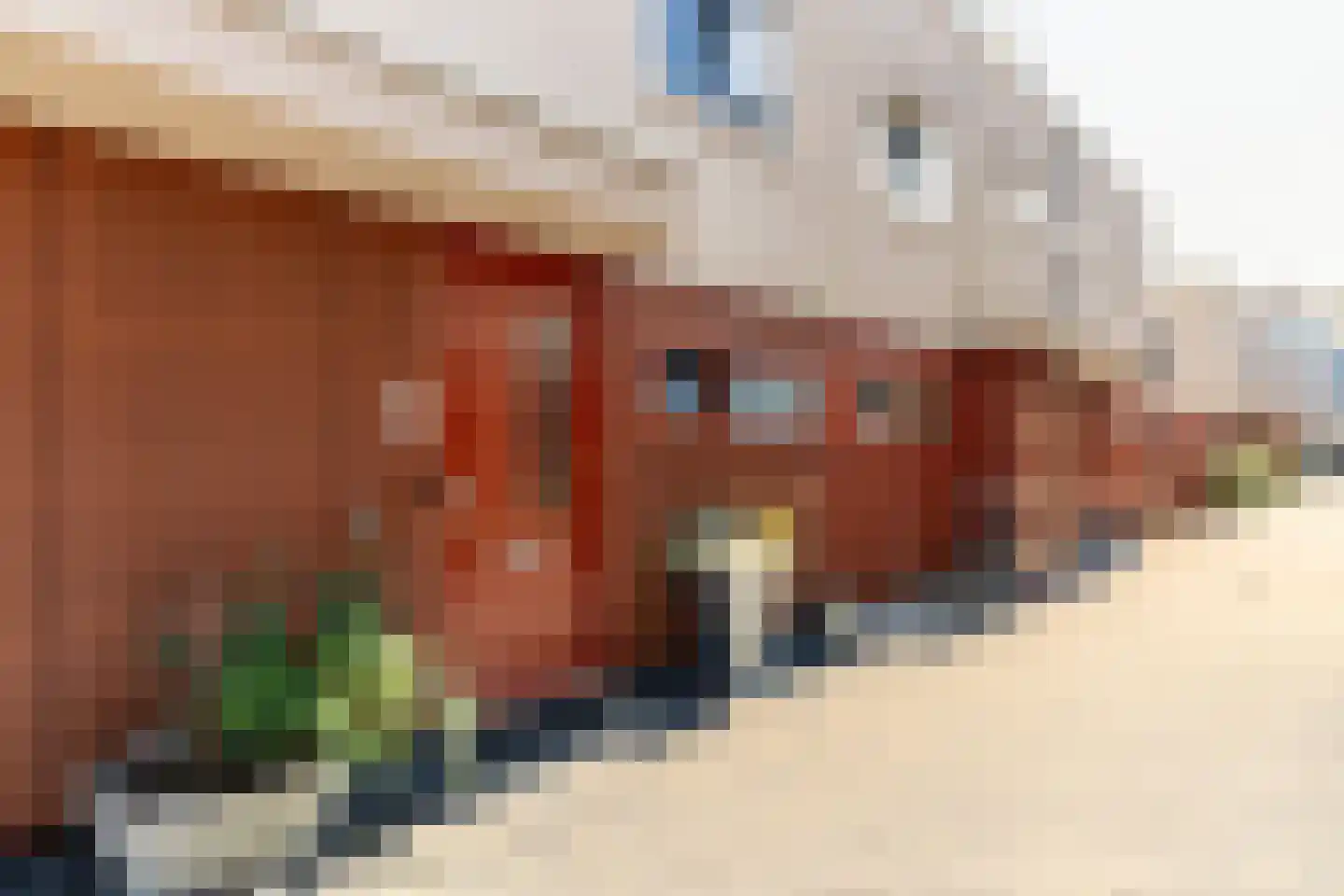 Rochus Meeuwiszweg 410 Brielle thumbnail 5