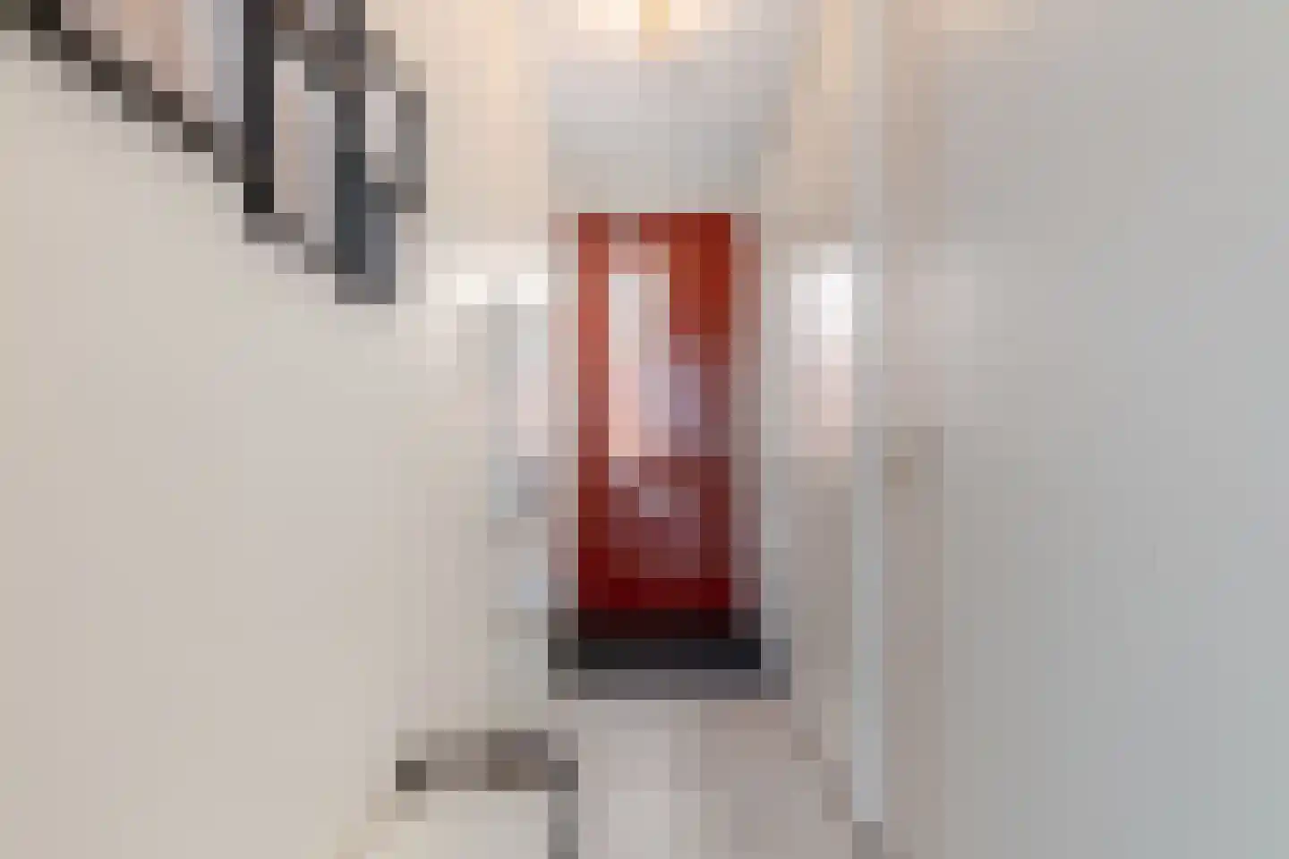 Rochus Meeuwiszweg 410 Brielle thumbnail 6