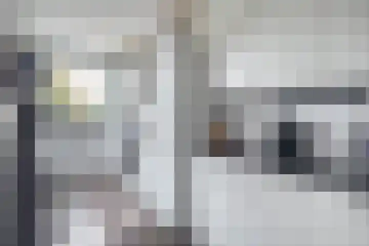 Rochus Meeuwiszweg 9 Brielle thumbnail 4
