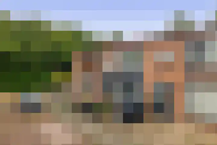 Rochus Meeuwiszweg 9 Brielle thumbnail 5