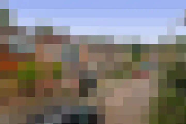 Rochus Meeuwiszweg 9 Brielle thumbnail 6