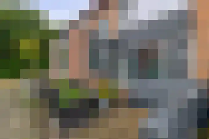 Rochus Meeuwiszweg 9 Brielle thumbnail 7