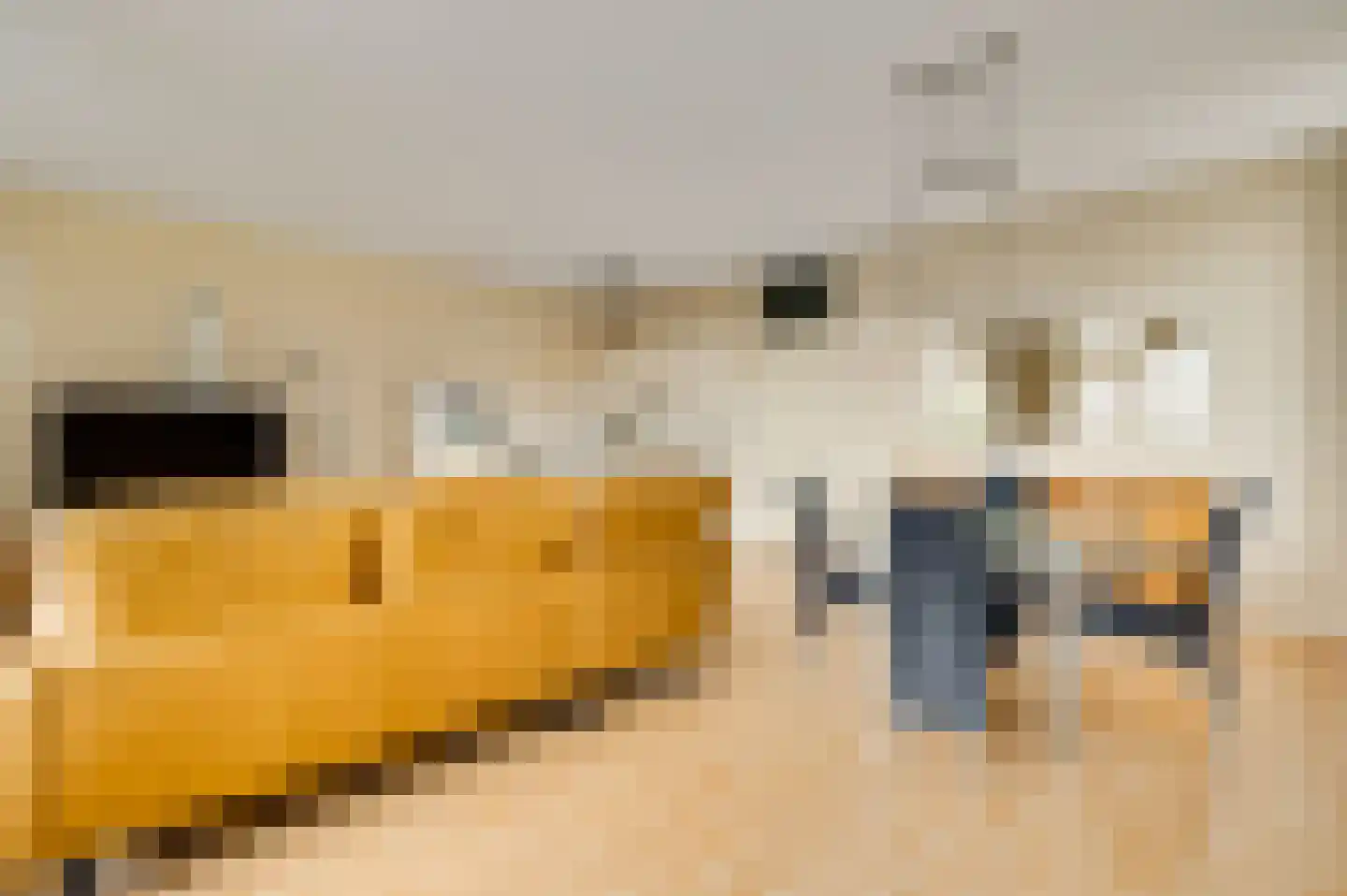 Rochushof 22 Nederweert thumbnail 13