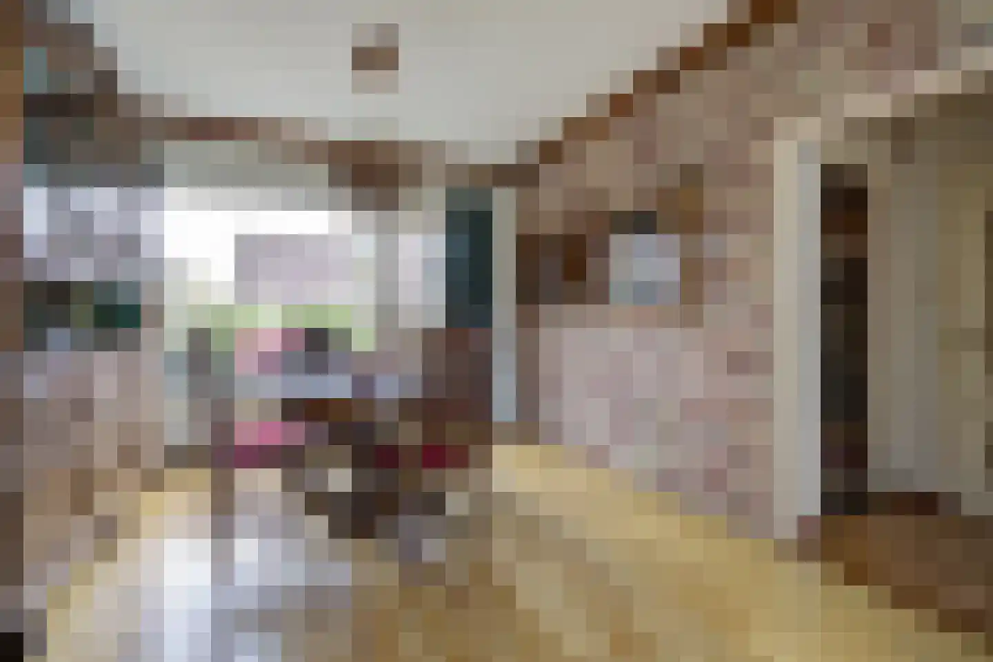Rochussenlaan 10 Etten-Leur thumbnail 10
