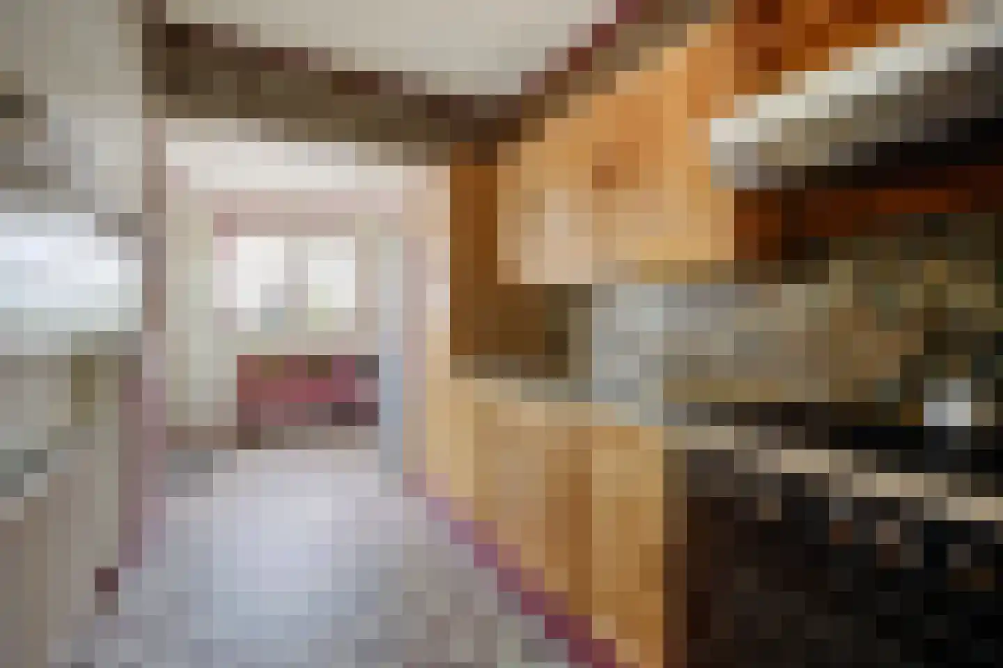 Rochussenlaan 10 Etten-Leur thumbnail 14