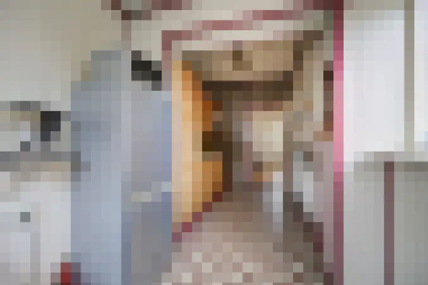 Rochussenlaan 10 Etten-Leur thumbnail 16