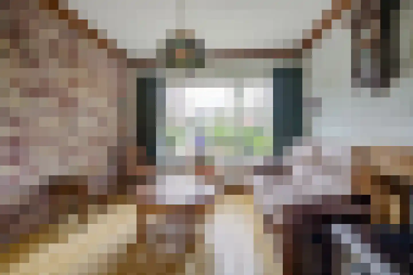 Rochussenlaan 10 Etten-Leur thumbnail 7