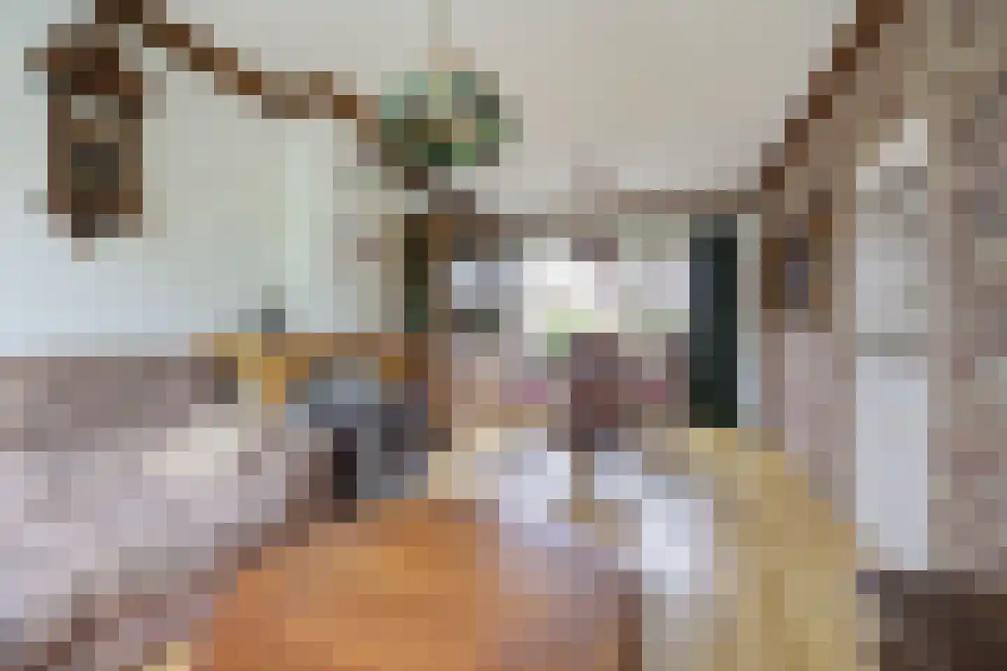 Rochussenlaan 10 Etten-Leur thumbnail 8