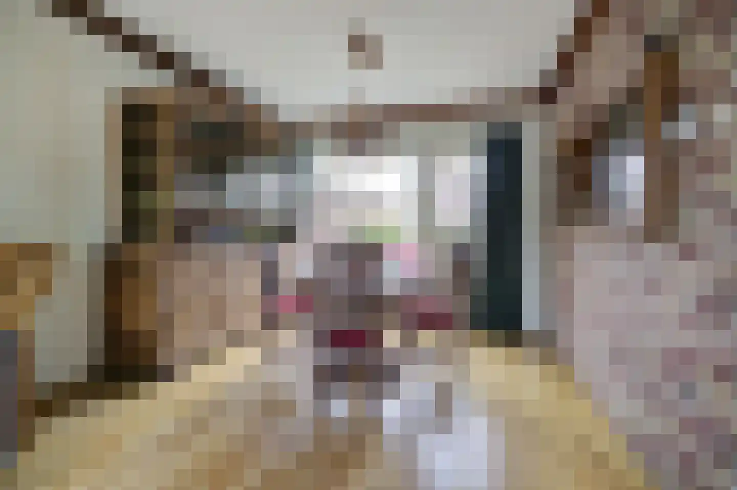 Rochussenlaan 10 Etten-Leur thumbnail 9